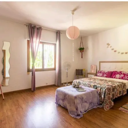Cmlove Purple El Campello